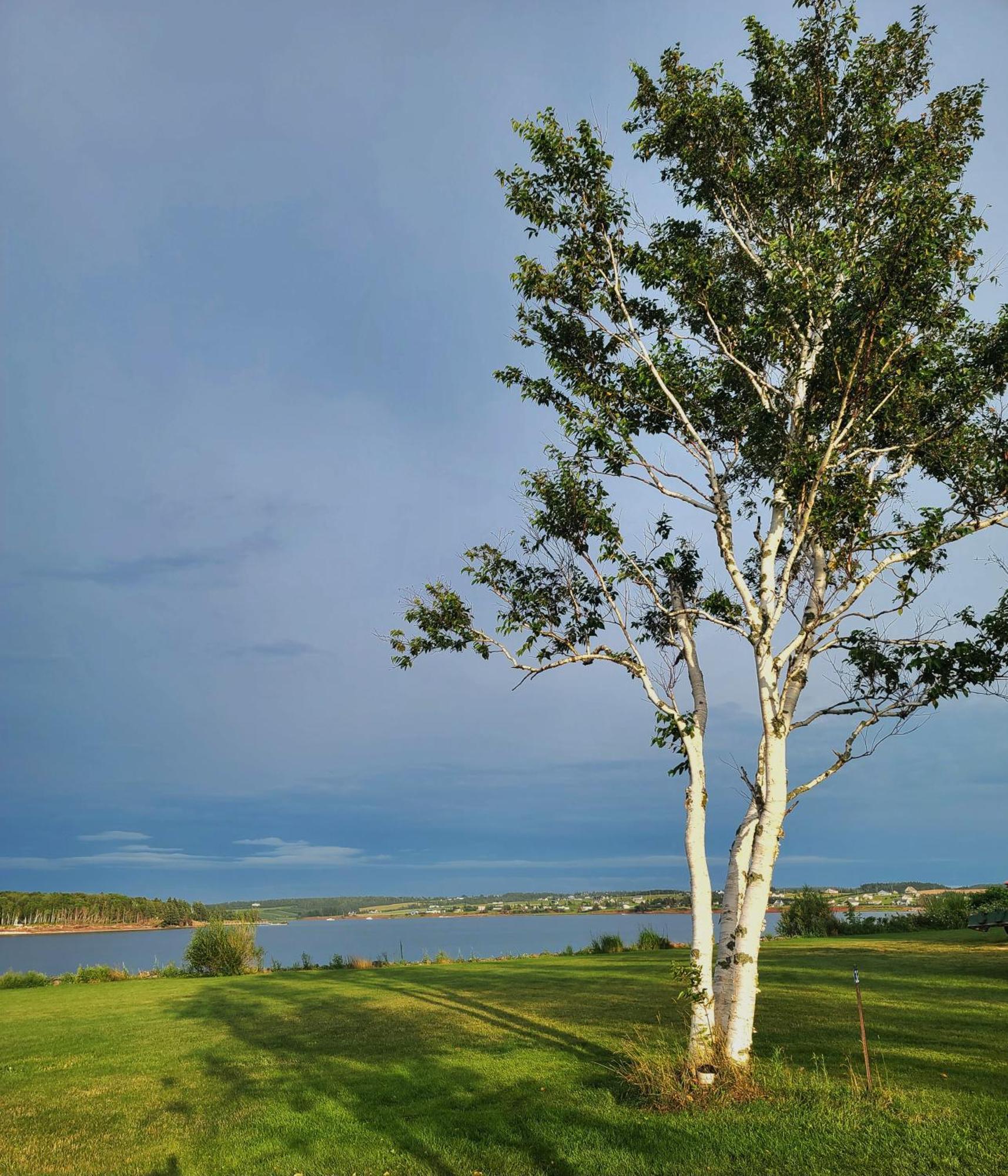 Margate Homestead 'Art House' /Views/Beaches/Golf Kensington Zewnętrze zdjęcie